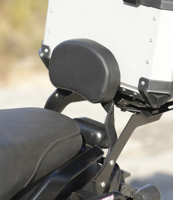 Royal Customs - Harley davidson 440X - Back rest