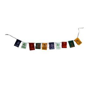 Ladak Flag Small