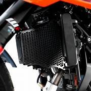 RC 390/250 GP edition radiator guard