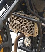 Mototorque - Himalayan 450 - Radiator guard - SS