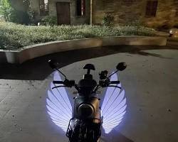 Angel wing projection light